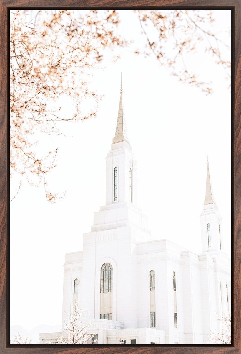 Lindon Utah Celestial View