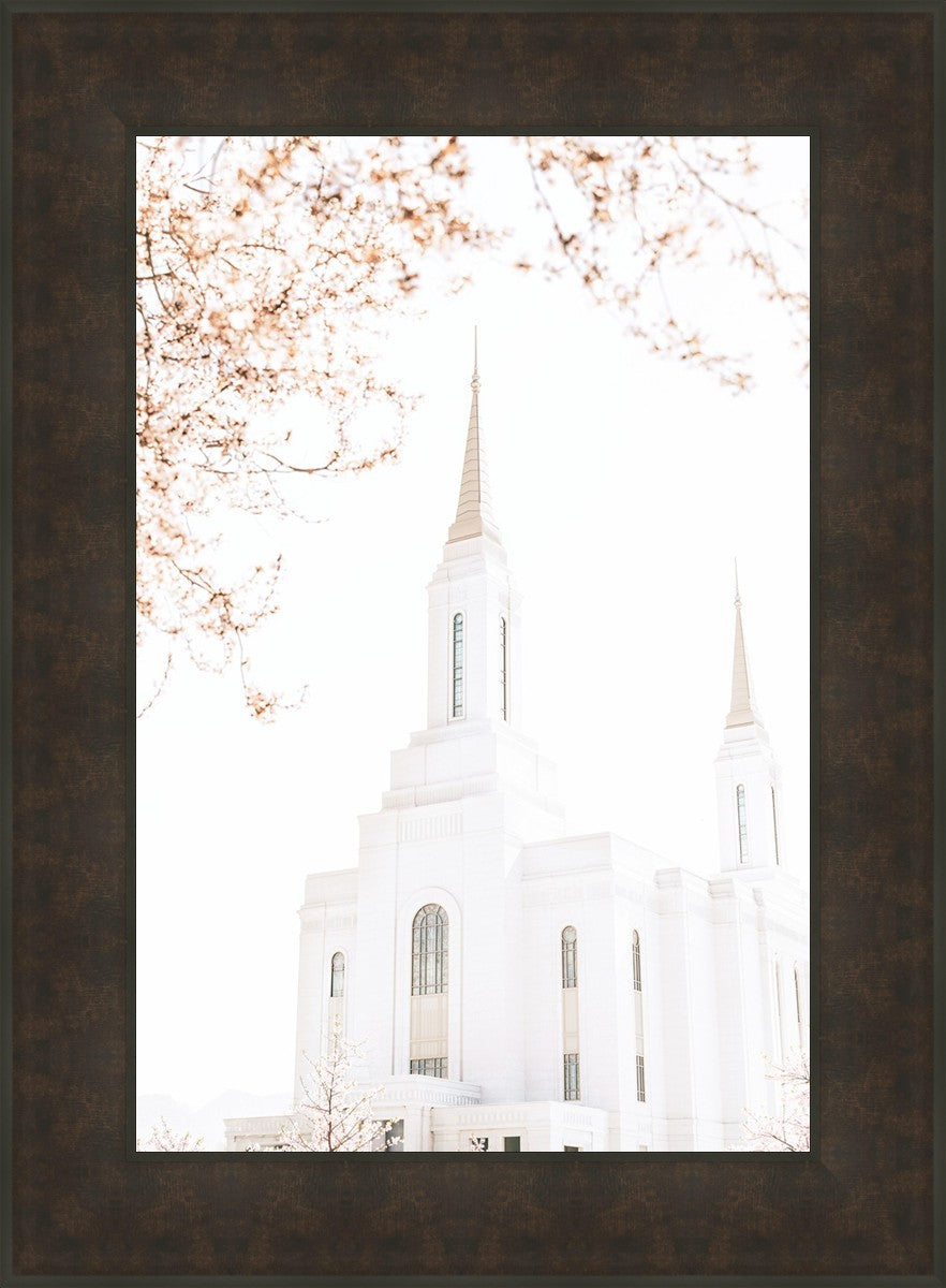 Lindon Utah Celestial View