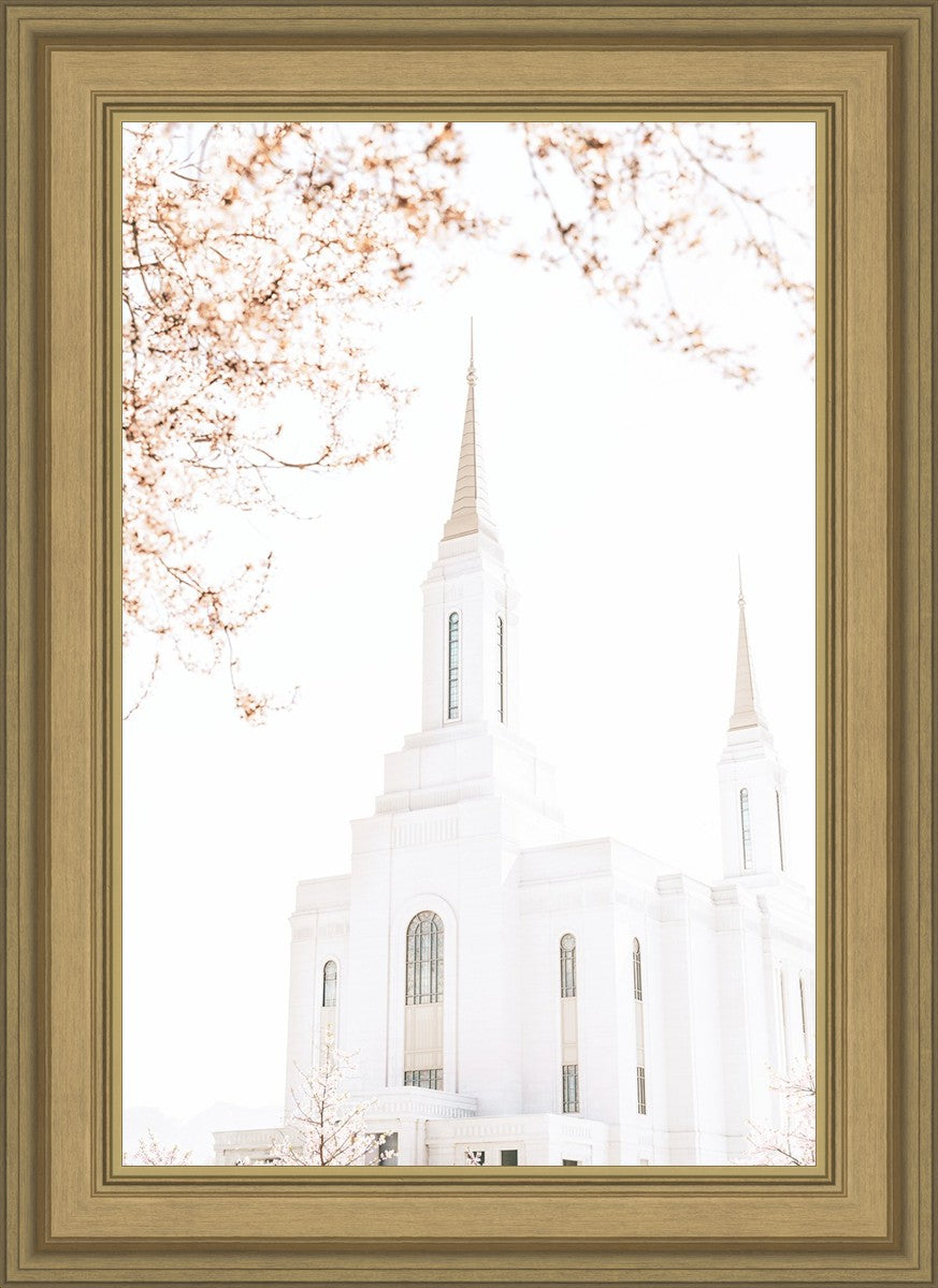 Lindon Utah Celestial View