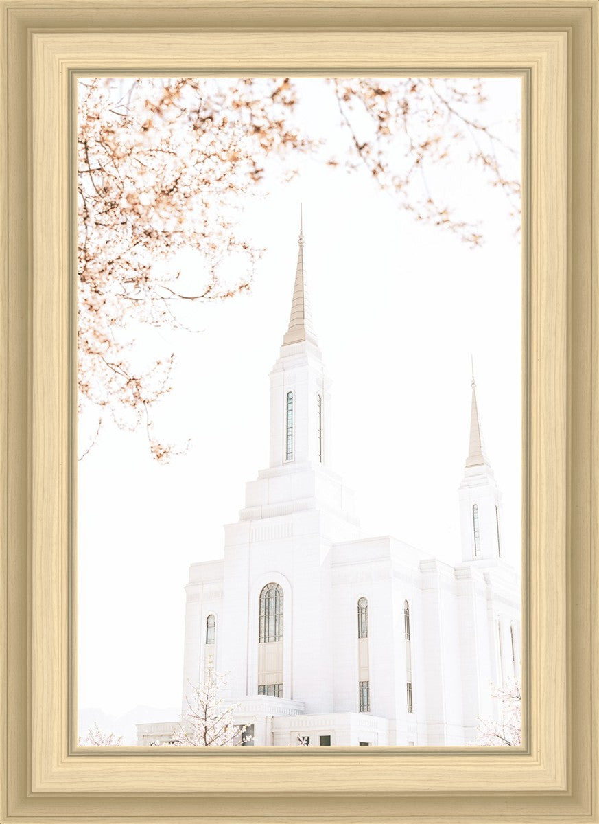 Lindon Utah Celestial View
