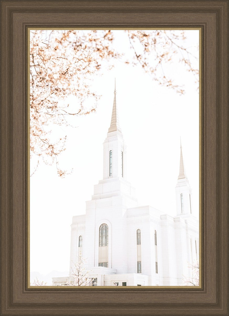 Lindon Utah Celestial View