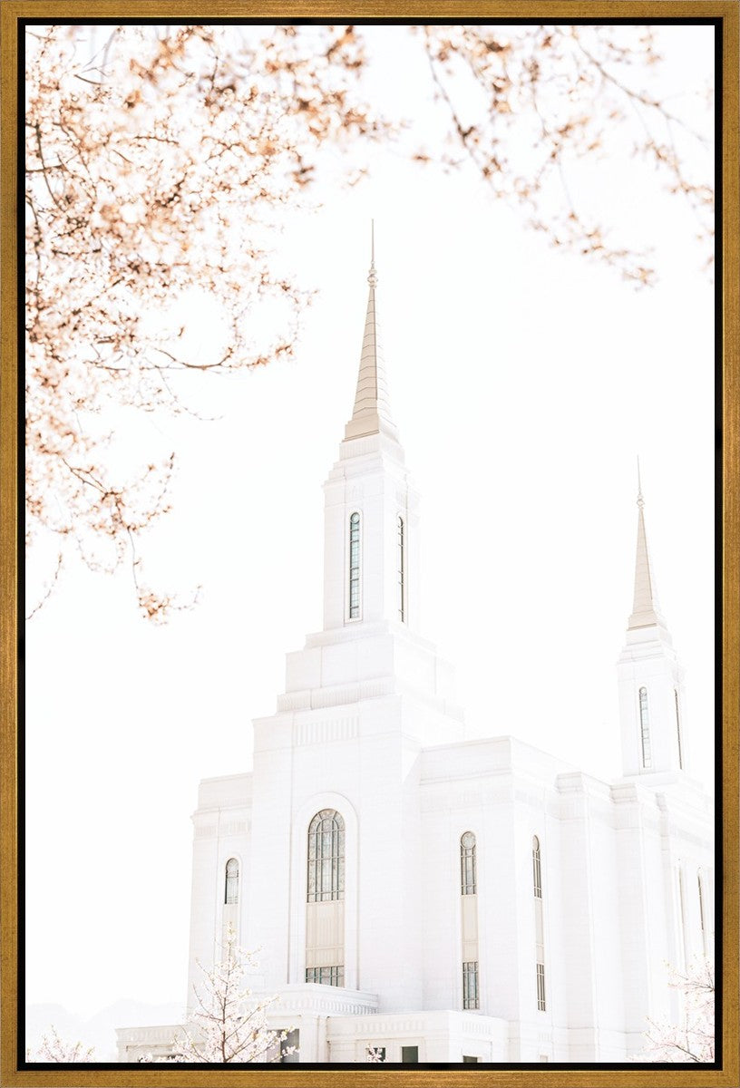 Lindon Utah Celestial View