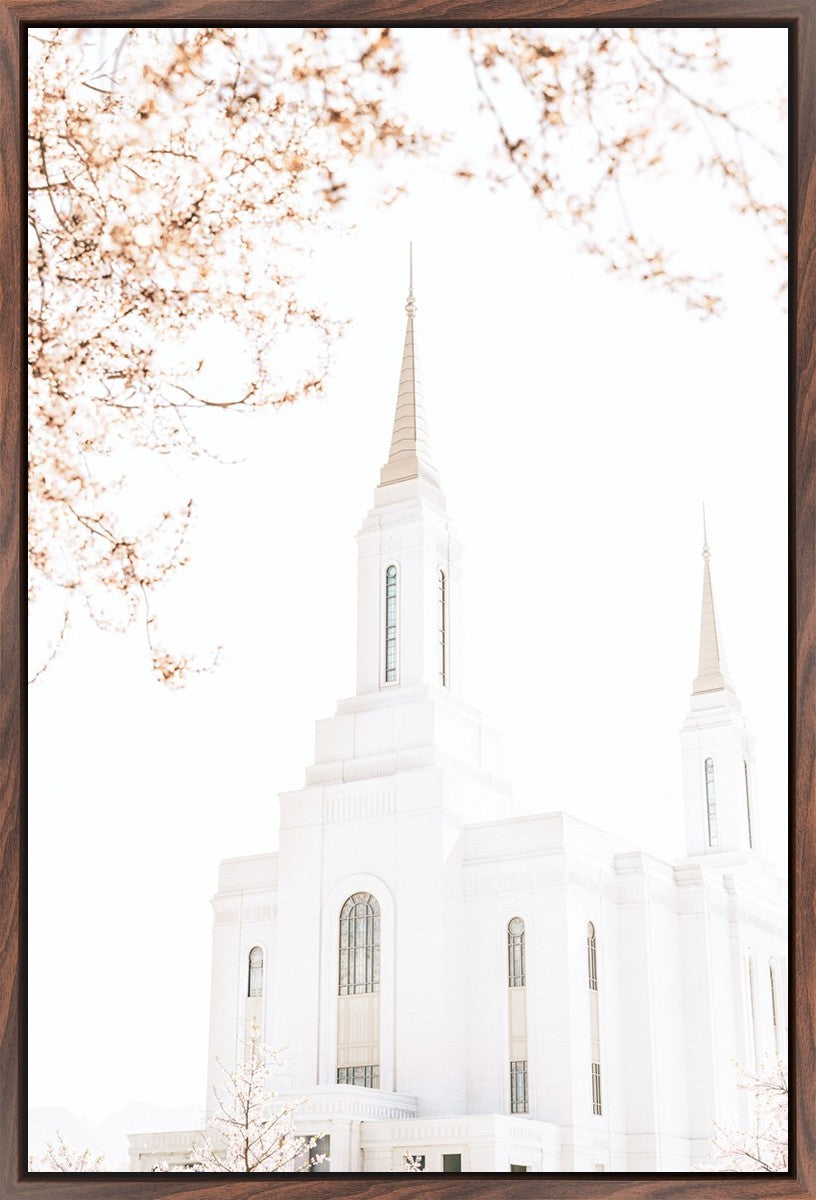 Lindon Utah Celestial View