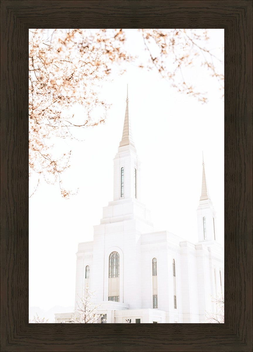 Lindon Utah Celestial View