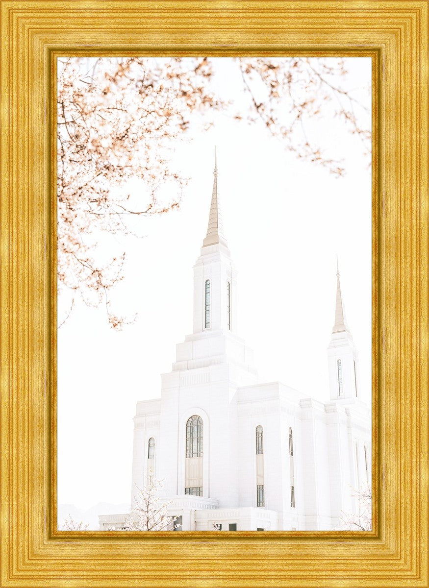 Lindon Utah Celestial View