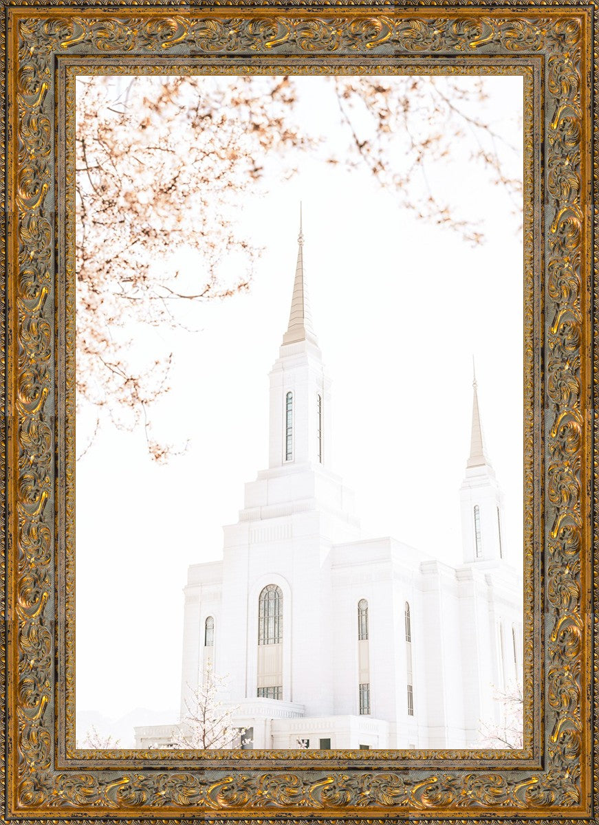 Lindon Utah Celestial View