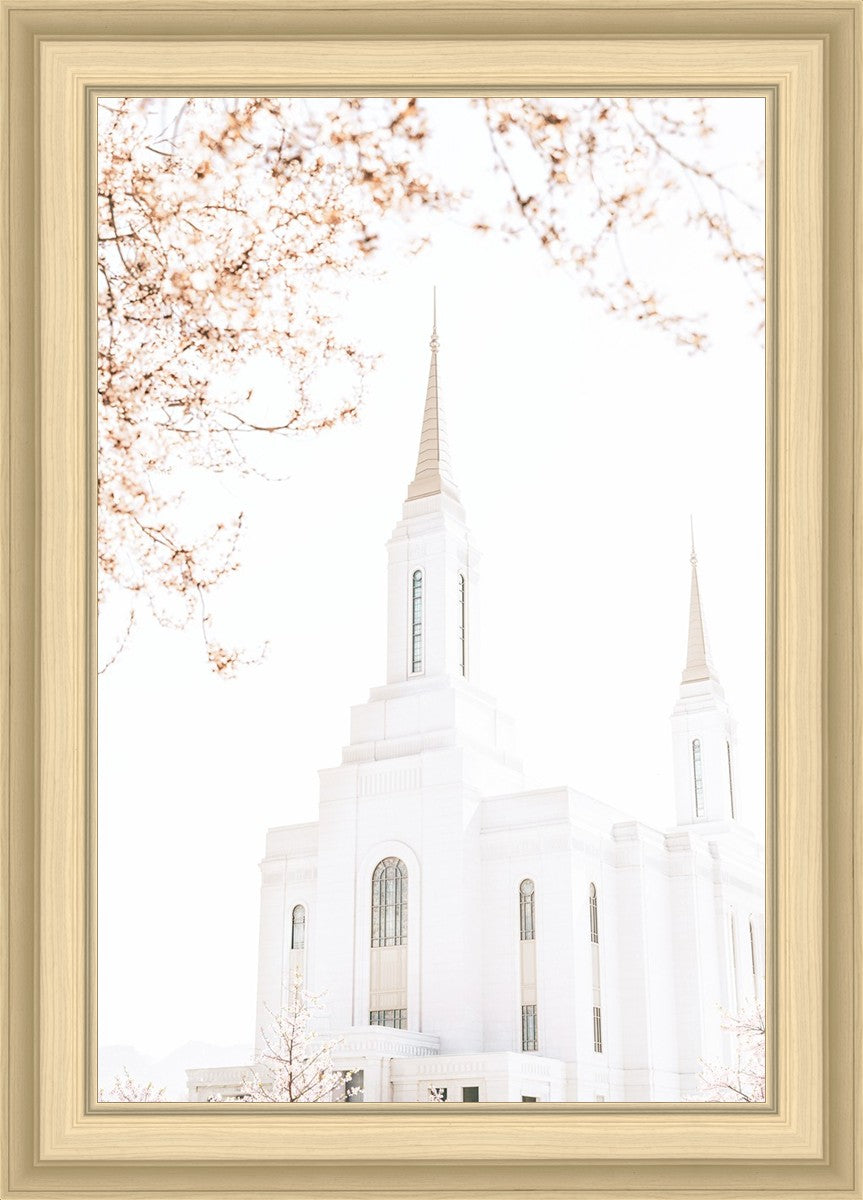 Lindon Utah Celestial View