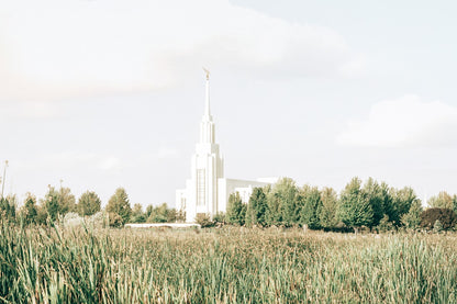 Sweet is The Work Twin Falls Idaho