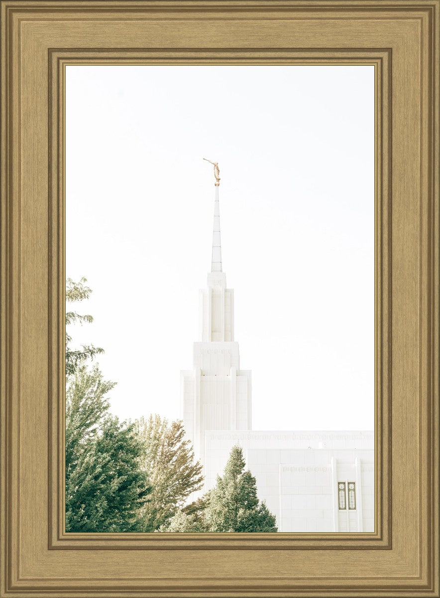 Twin Falls Idaho Celestial View