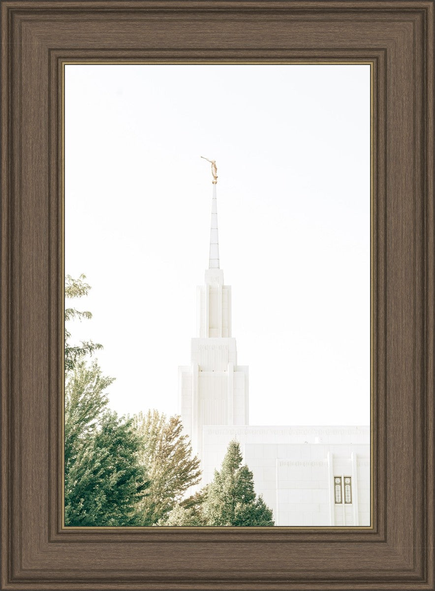 Twin Falls Idaho Celestial View