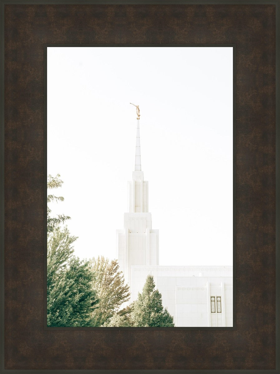 Twin Falls Idaho Celestial View