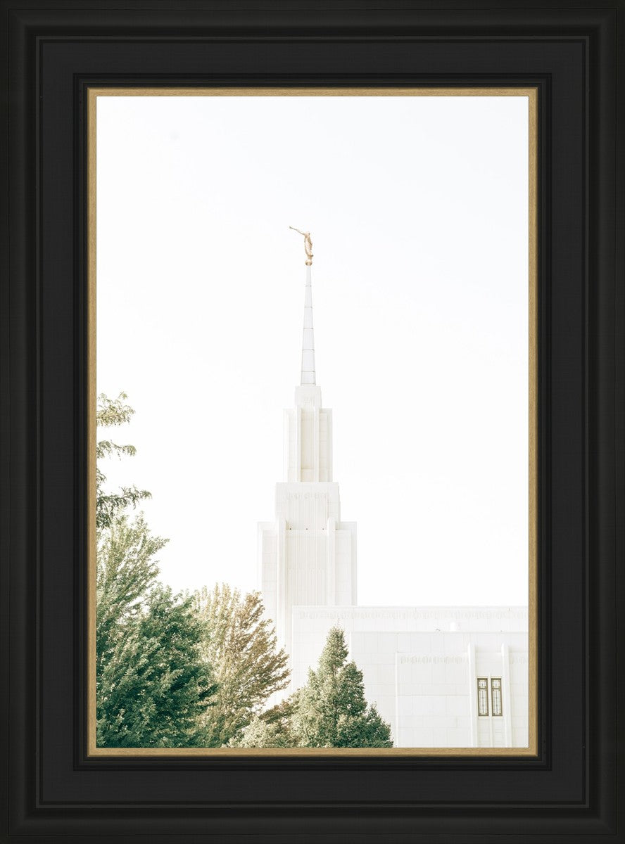 Twin Falls Idaho Celestial View