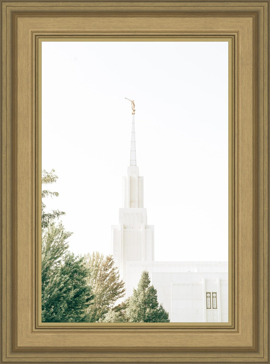 Twin Falls Idaho Celestial View