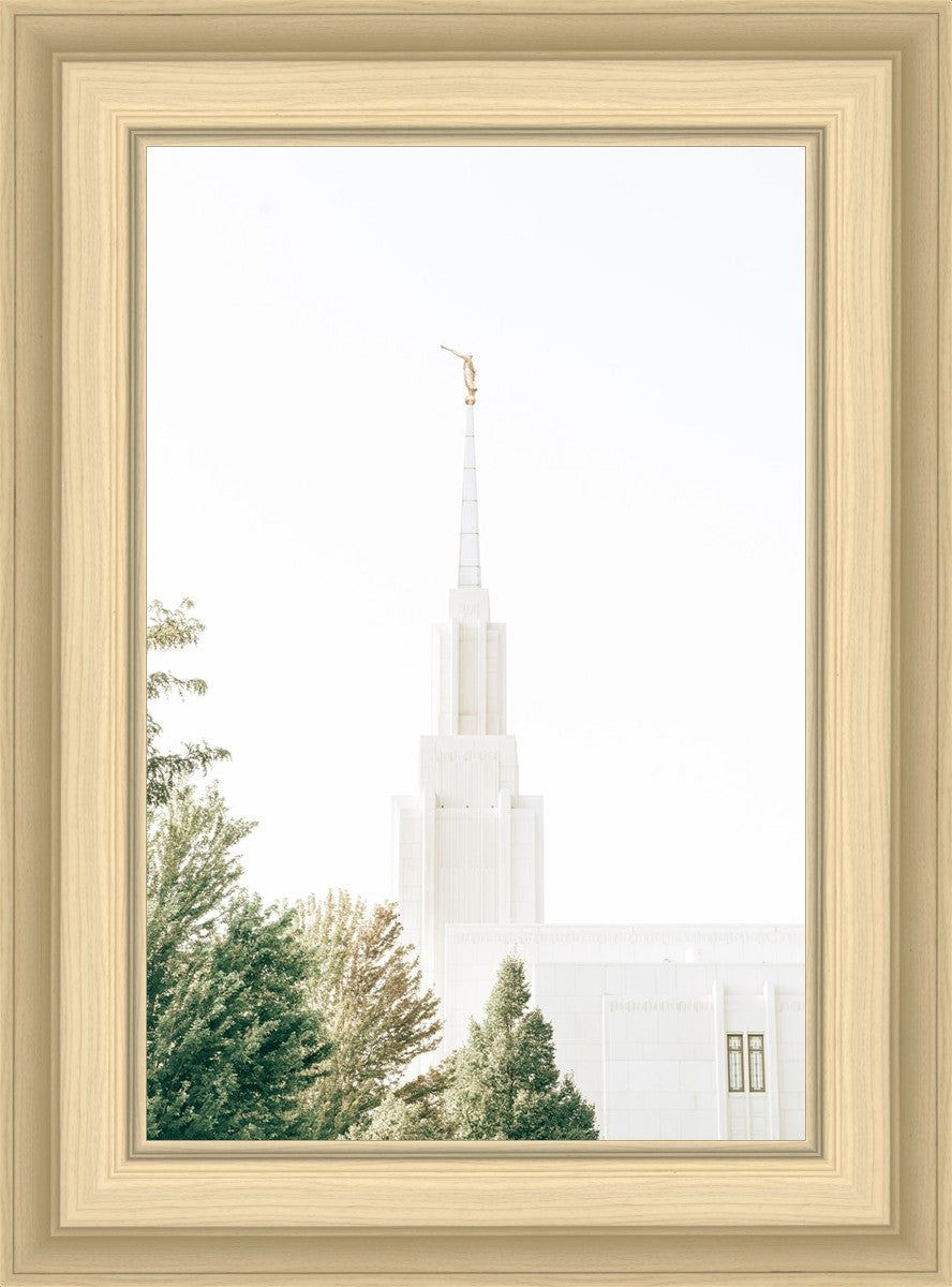 Twin Falls Idaho Celestial View