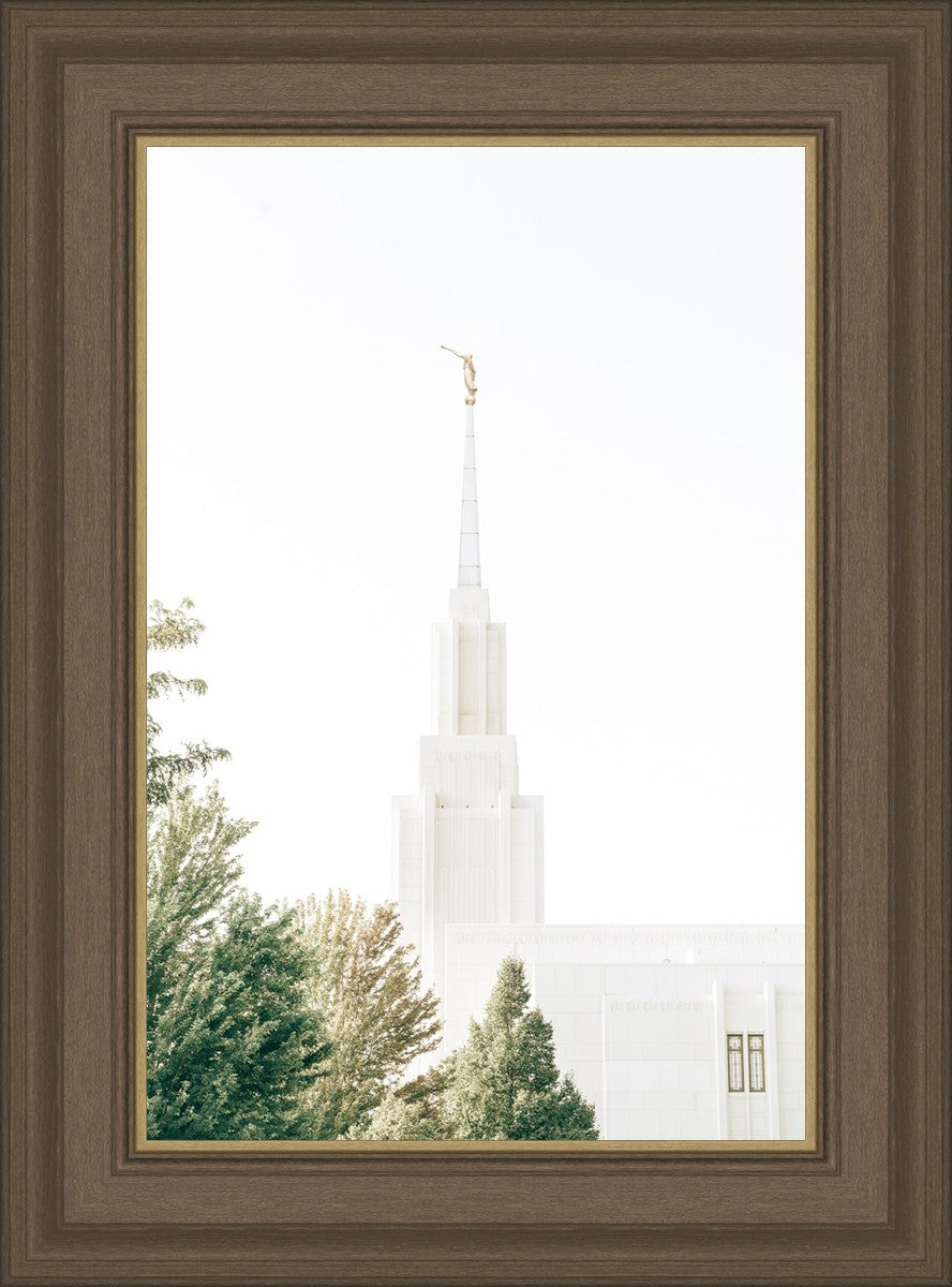 Twin Falls Idaho Celestial View