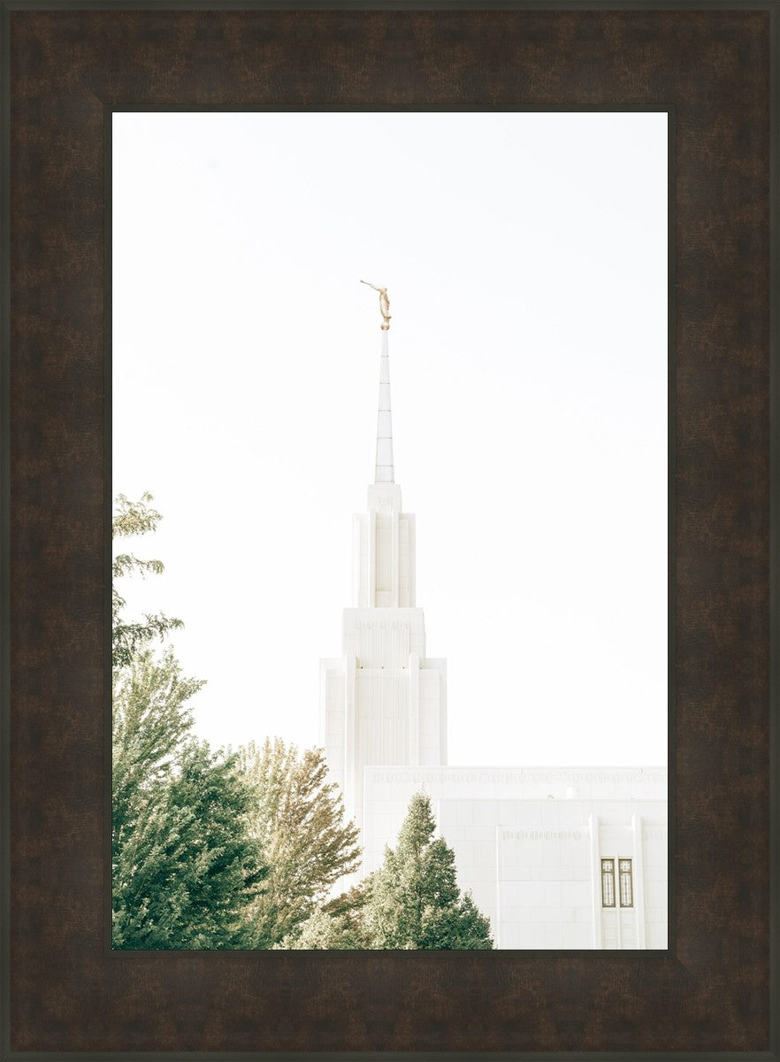 Twin Falls Idaho Celestial View