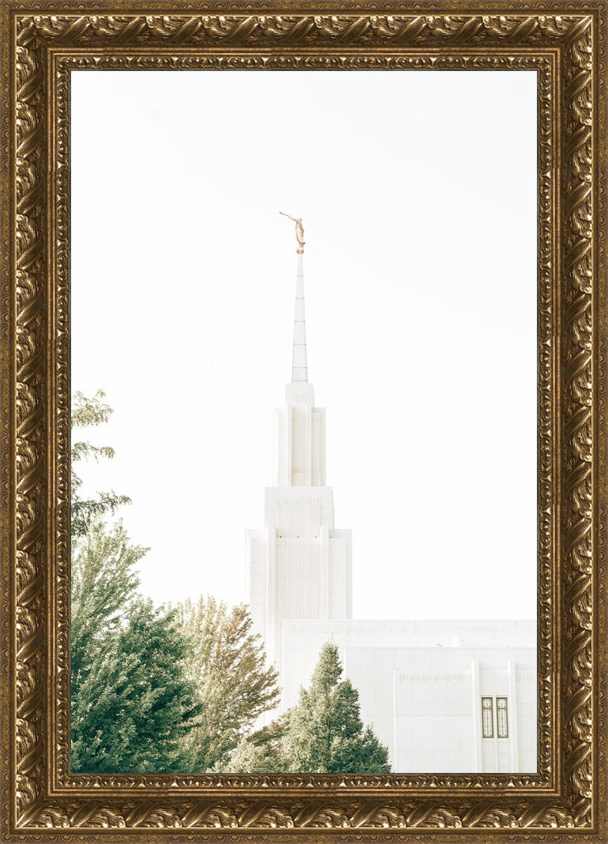 Twin Falls Idaho Celestial View