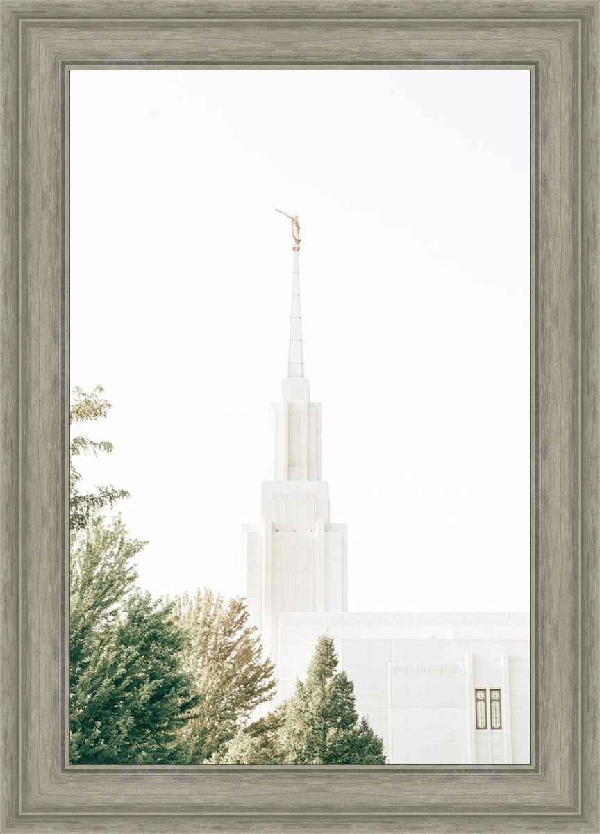 Twin Falls Idaho Celestial View