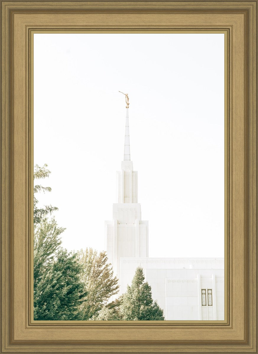 Twin Falls Idaho Celestial View