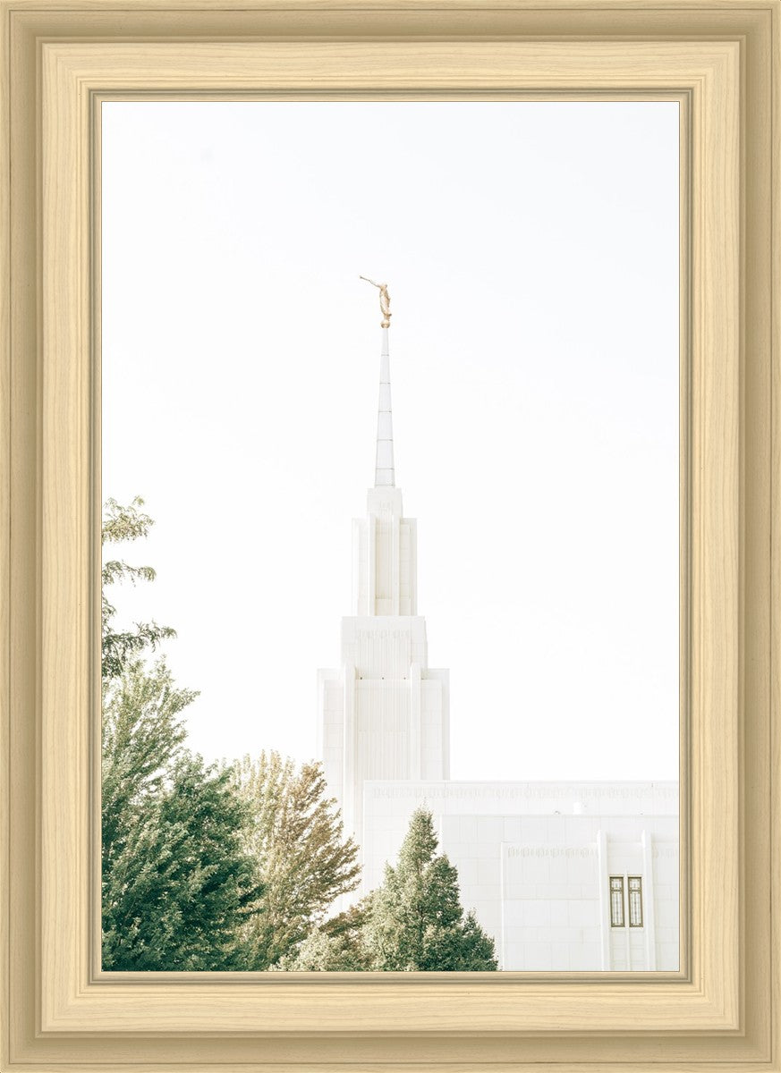 Twin Falls Idaho Celestial View