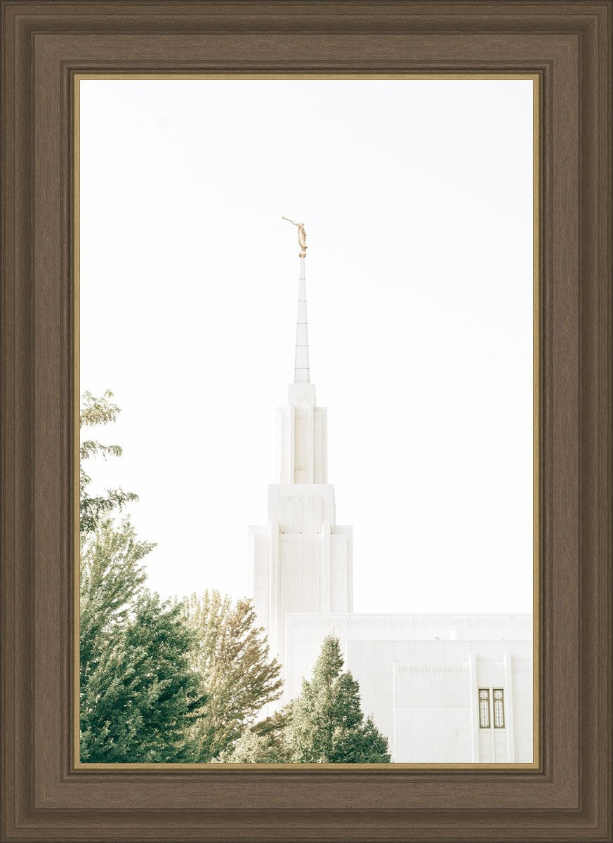 Twin Falls Idaho Celestial View