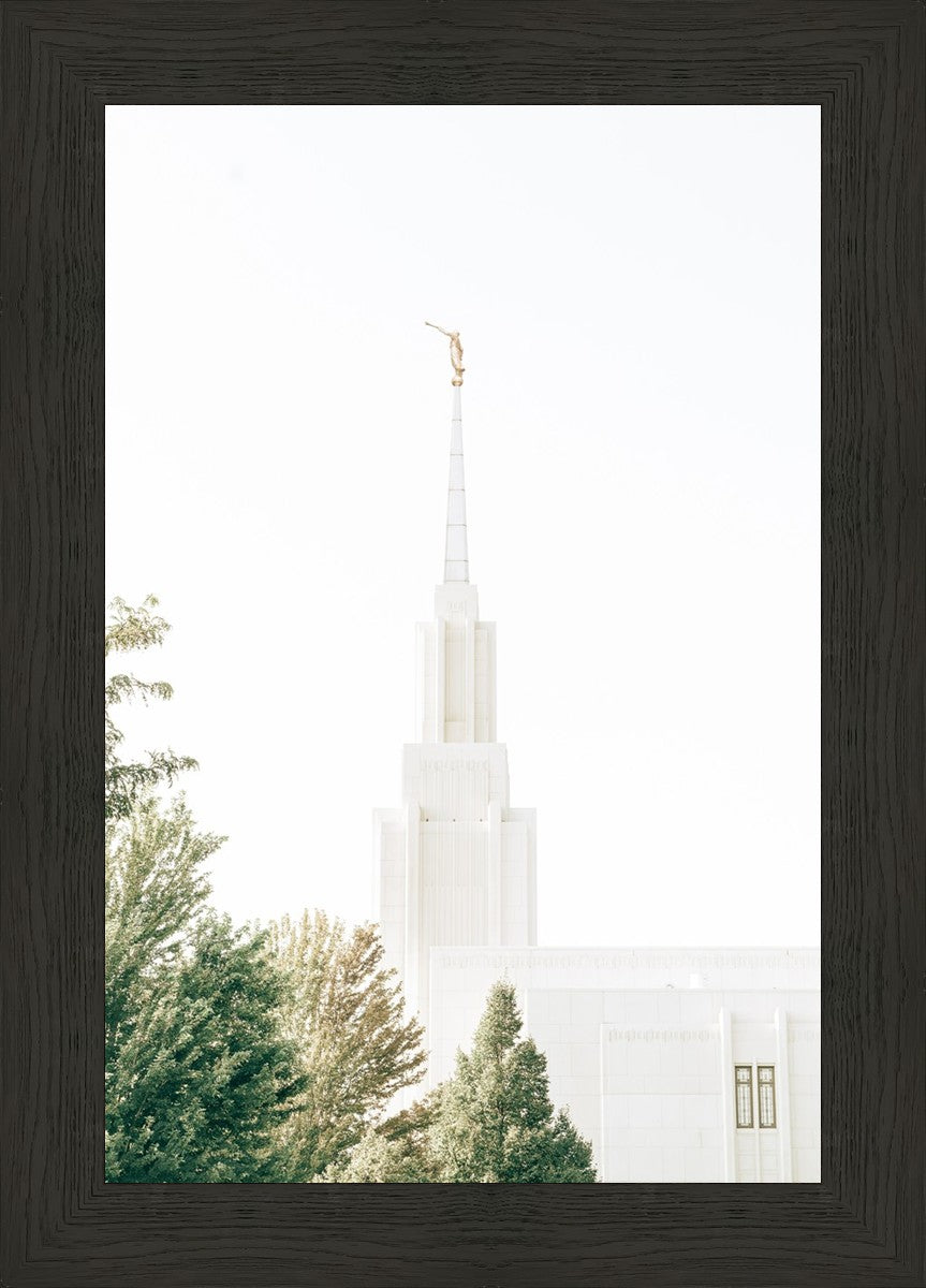Twin Falls Idaho Celestial View