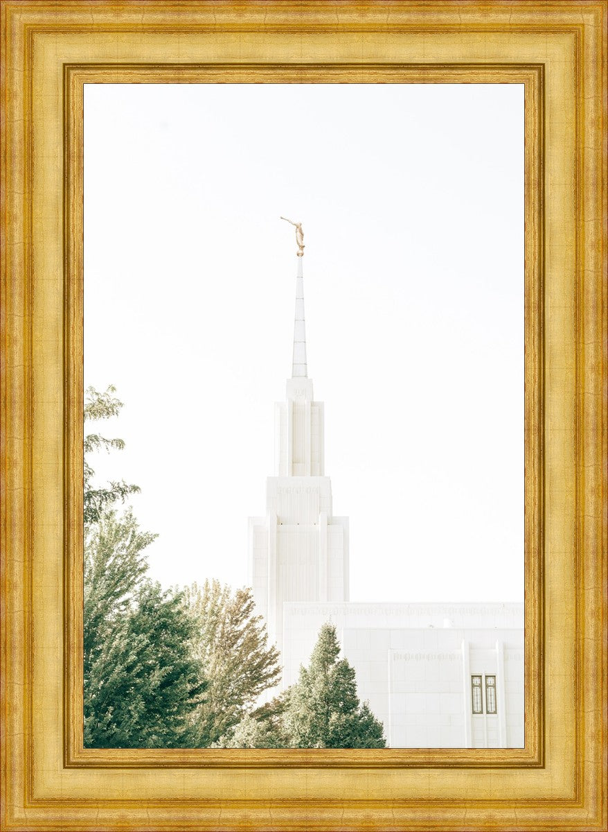 Twin Falls Idaho Celestial View