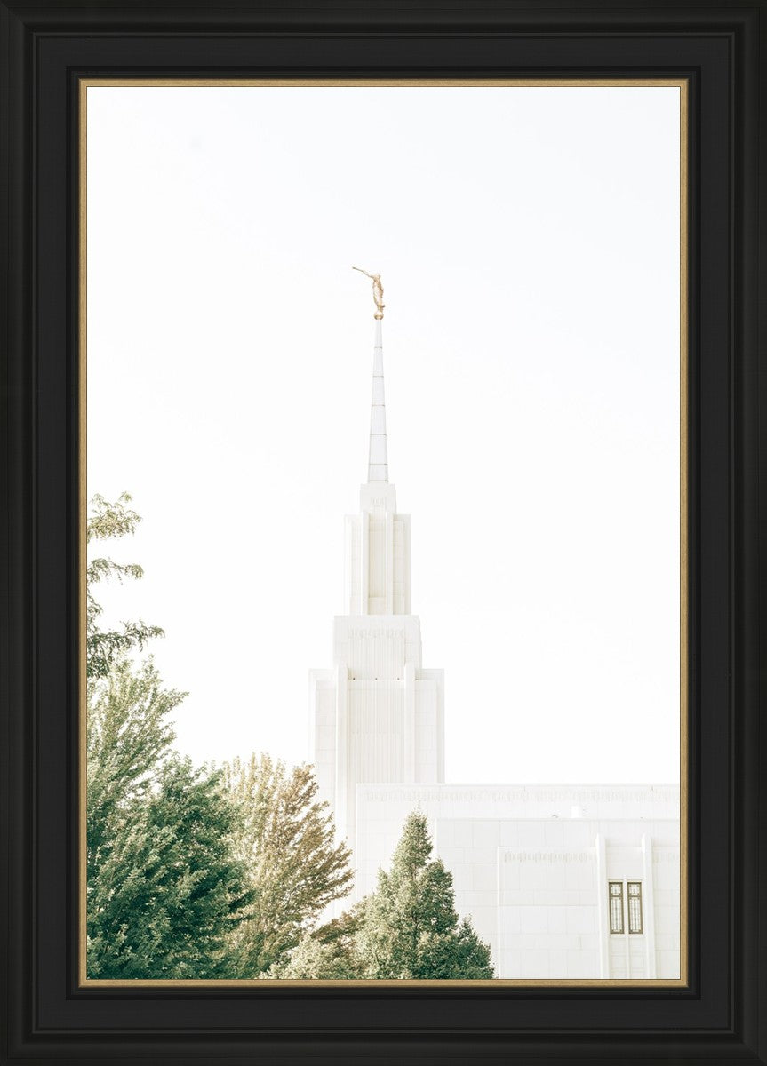 Twin Falls Idaho Celestial View