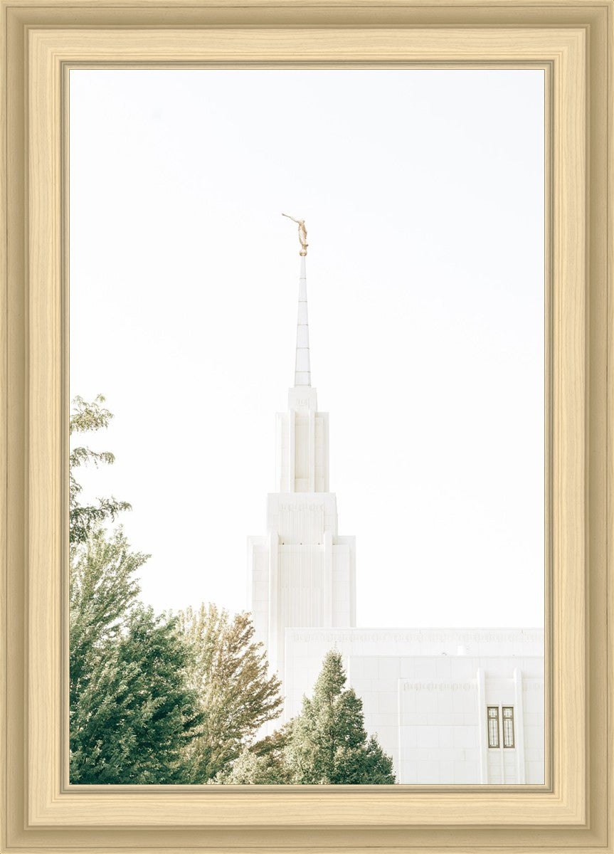 Twin Falls Idaho Celestial View