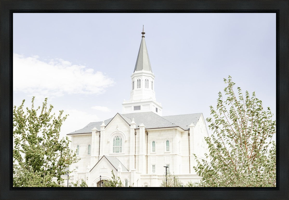 Taylorsville Utah Immaculate Embrace