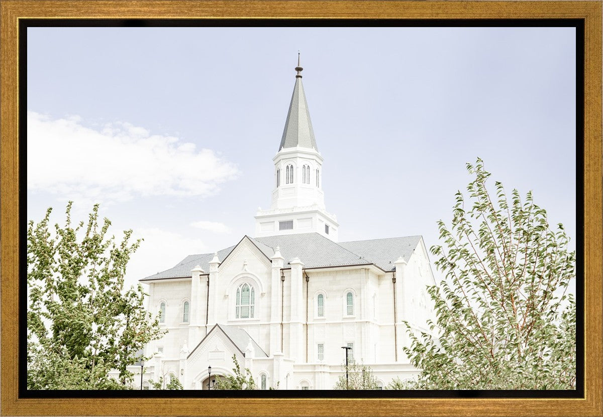 Taylorsville Utah Immaculate Embrace