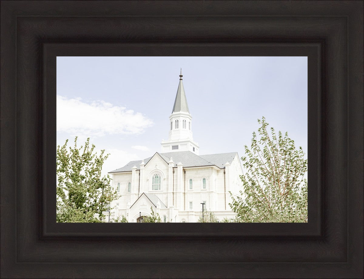 Taylorsville Utah Immaculate Embrace