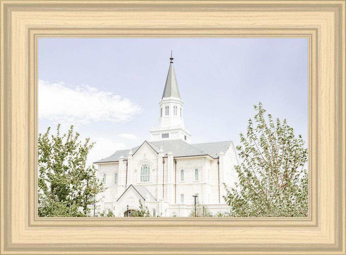 Taylorsville Utah Immaculate Embrace