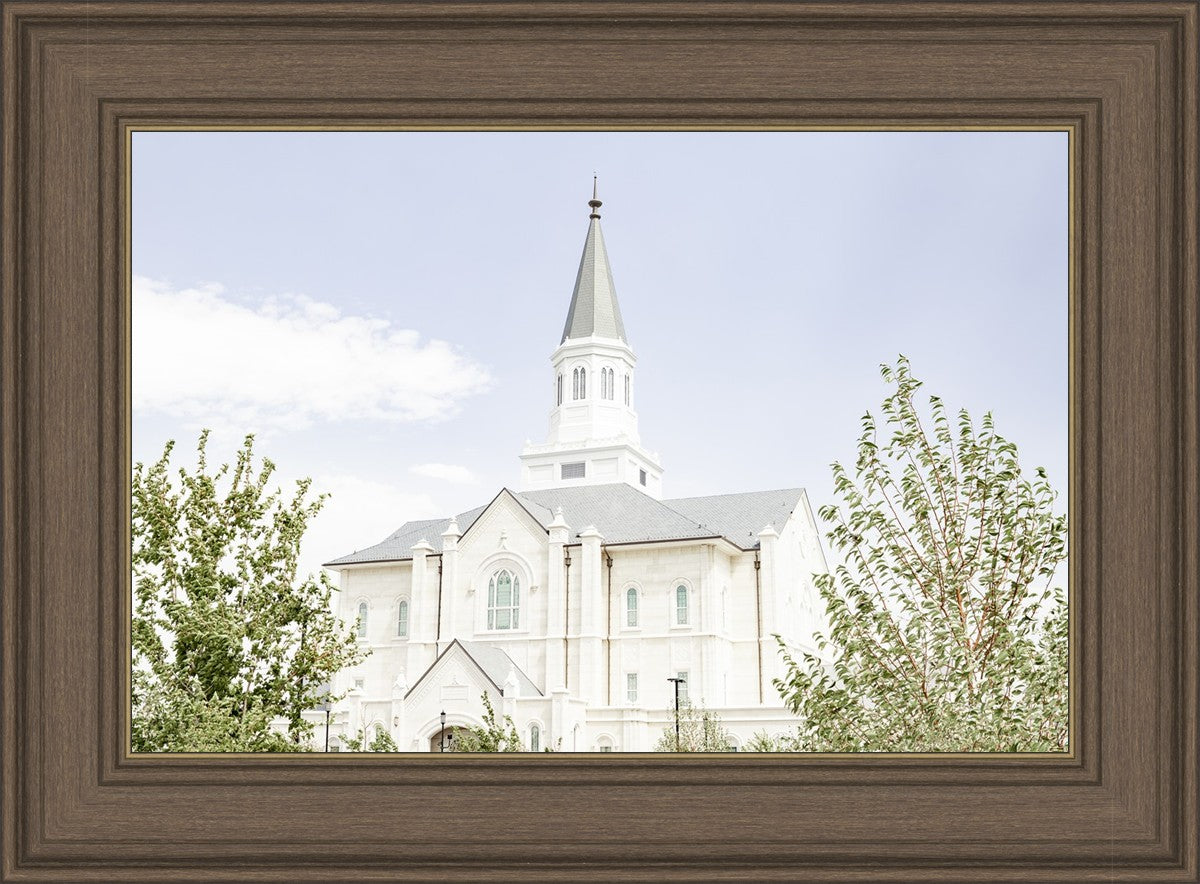 Taylorsville Utah Immaculate Embrace