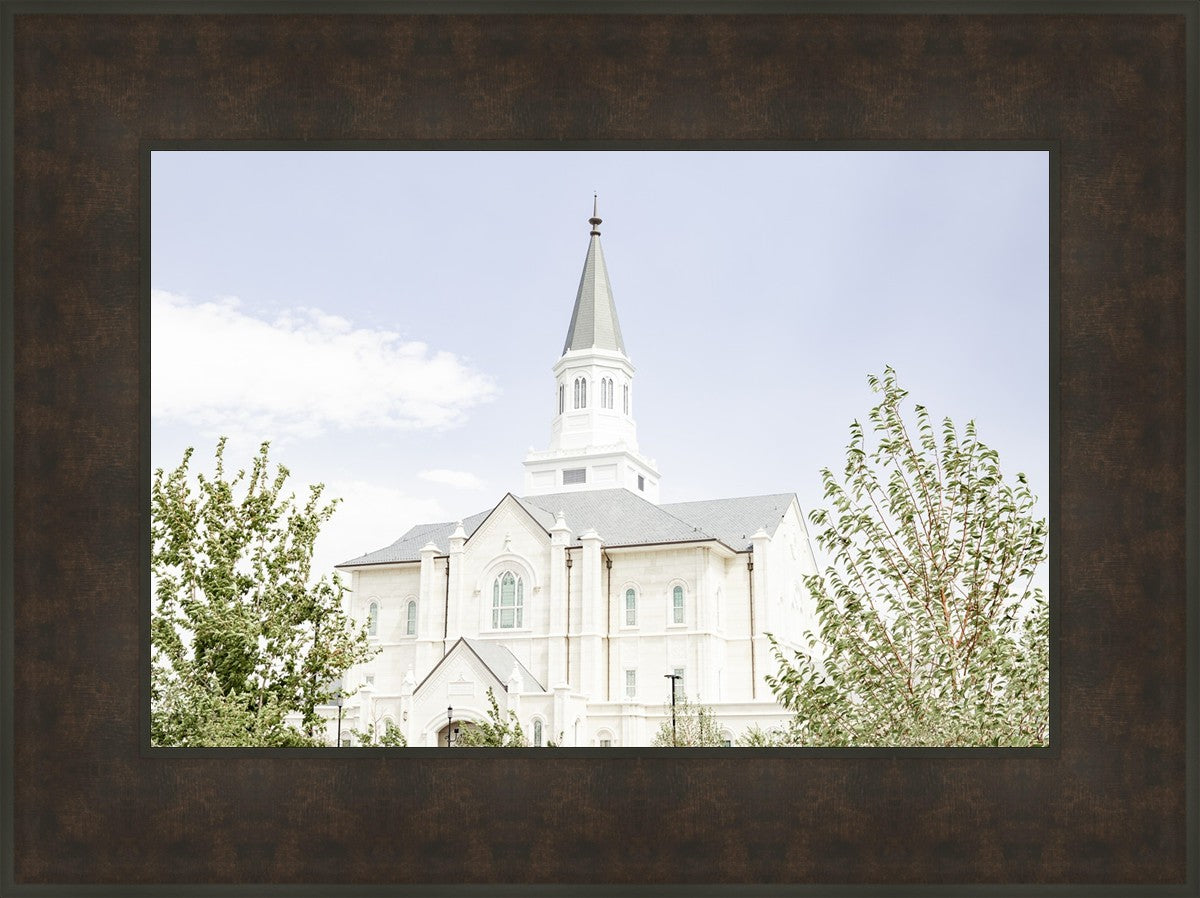 Taylorsville Utah Immaculate Embrace