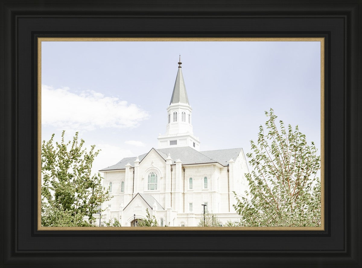 Taylorsville Utah Immaculate Embrace