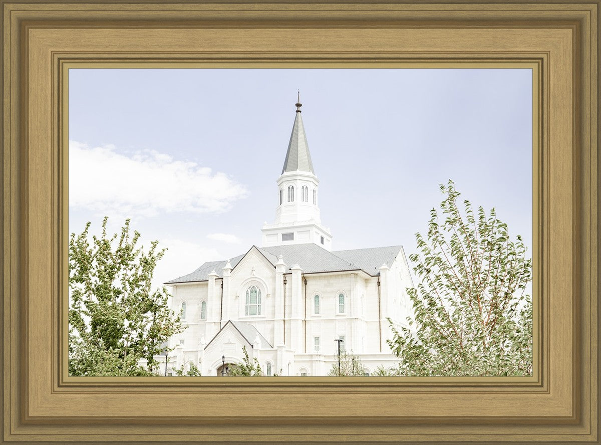 Taylorsville Utah Immaculate Embrace