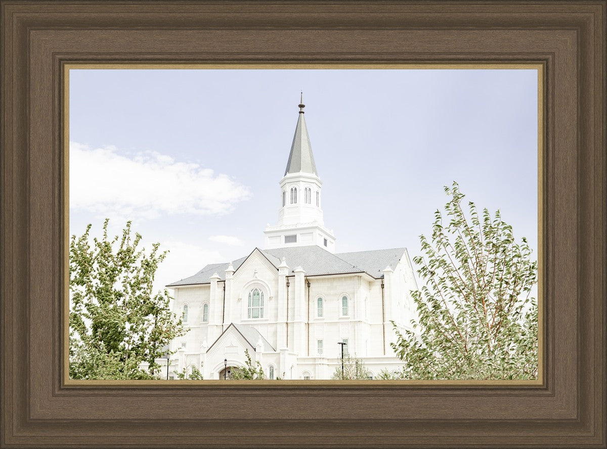 Taylorsville Utah Immaculate Embrace