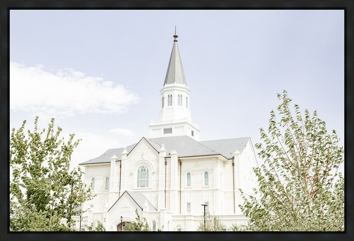 Taylorsville Utah Immaculate Embrace