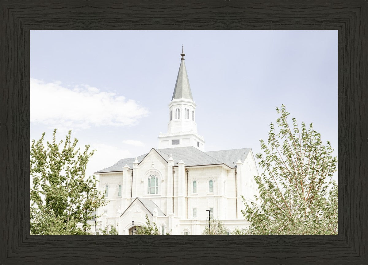 Taylorsville Utah Immaculate Embrace