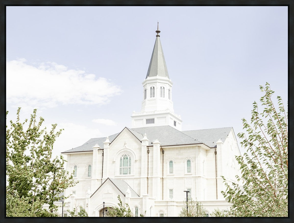 Taylorsville Utah Immaculate Embrace