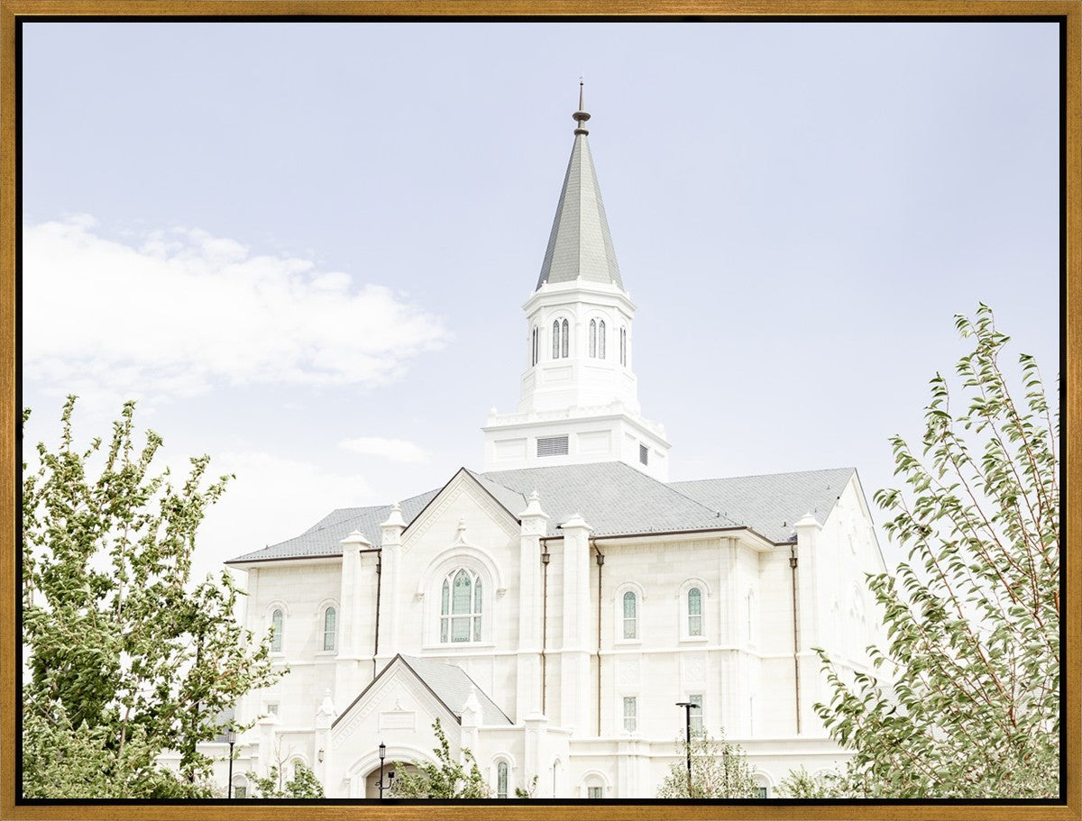 Taylorsville Utah Immaculate Embrace
