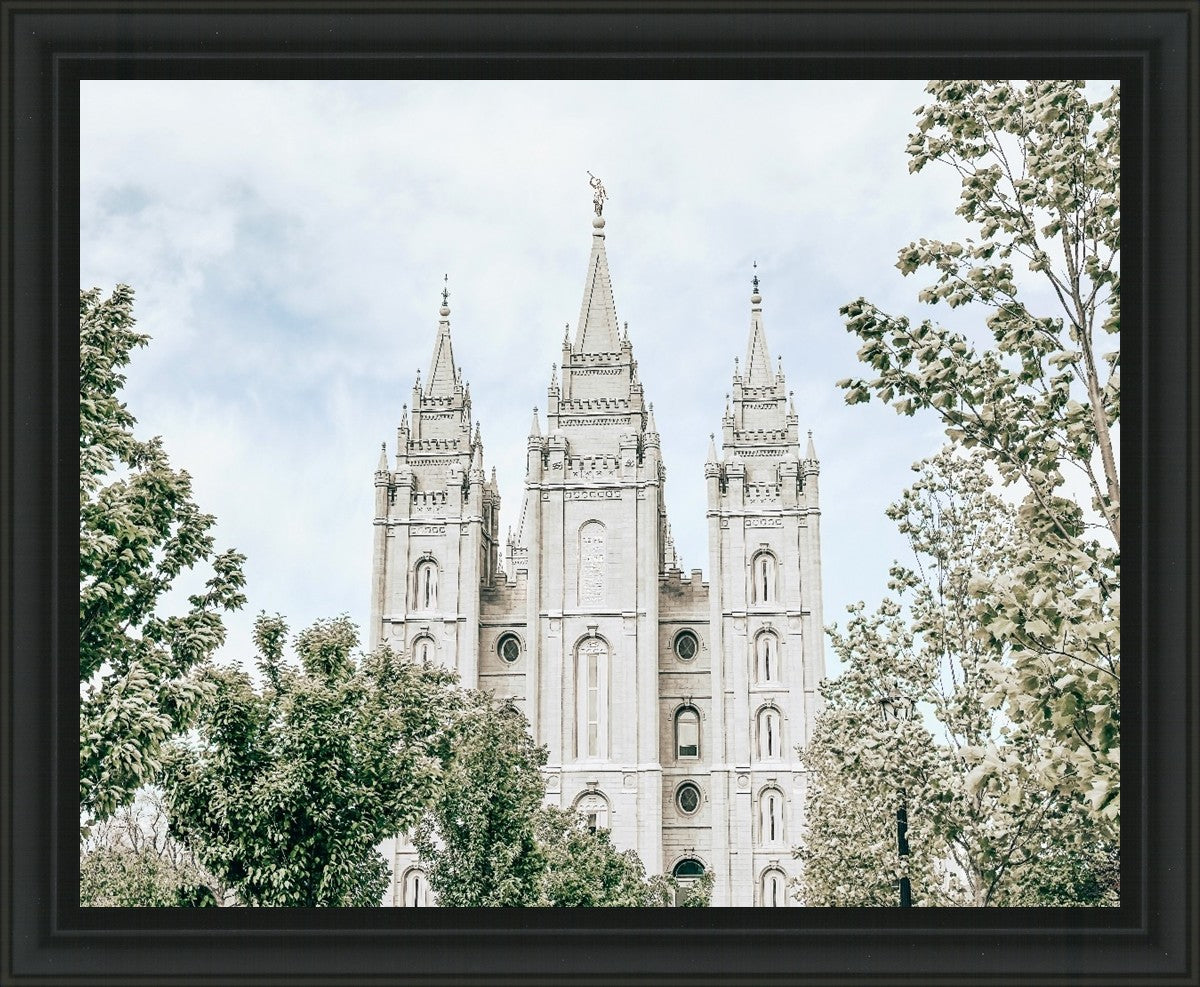Salt Lake City Utah Immaculate Embrace