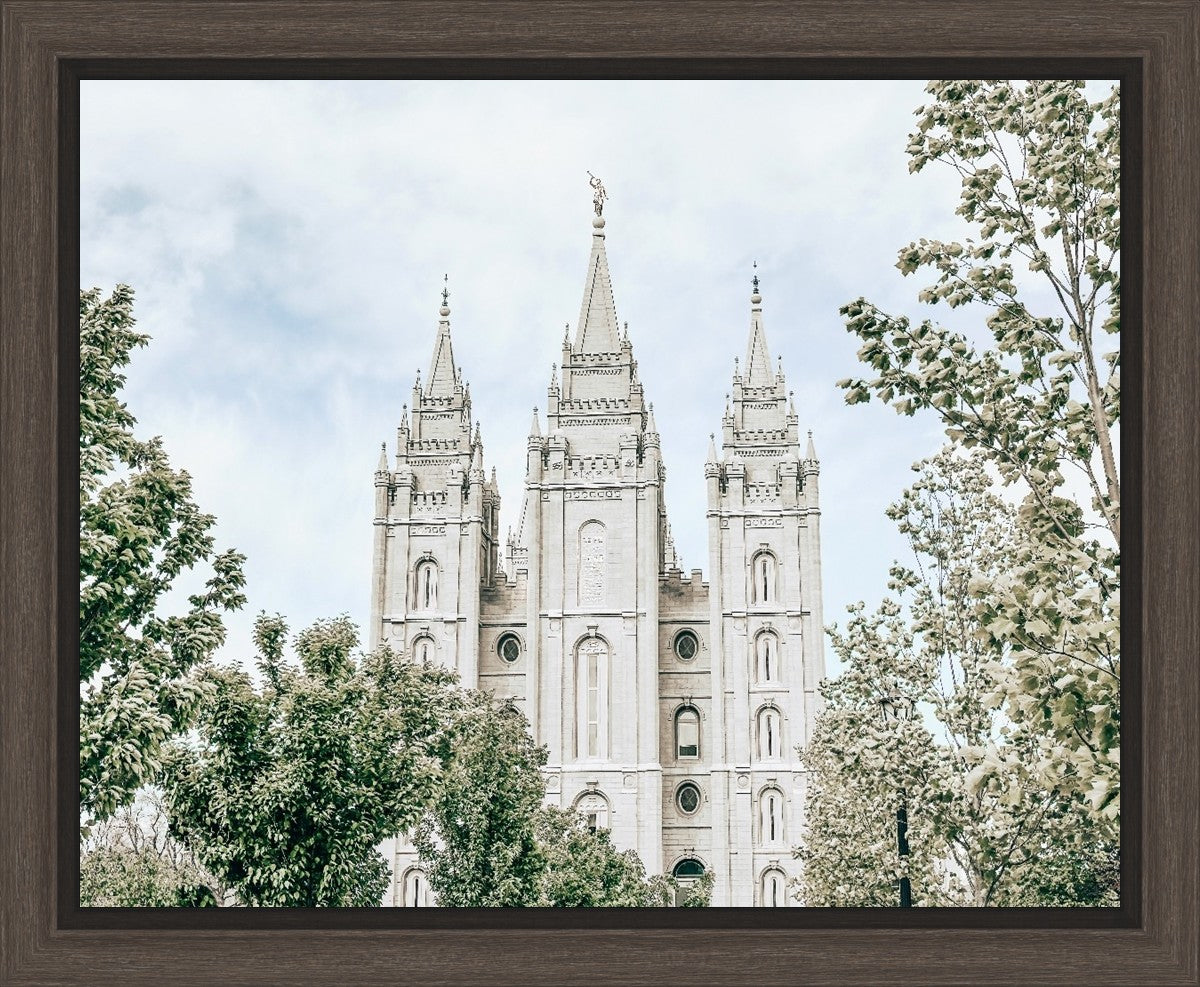 Salt Lake City Utah Immaculate Embrace
