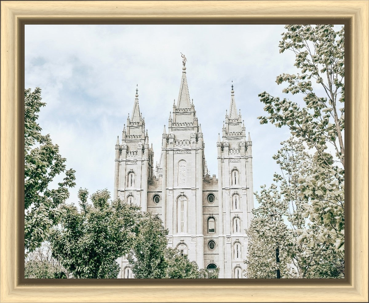 Salt Lake City Utah Immaculate Embrace