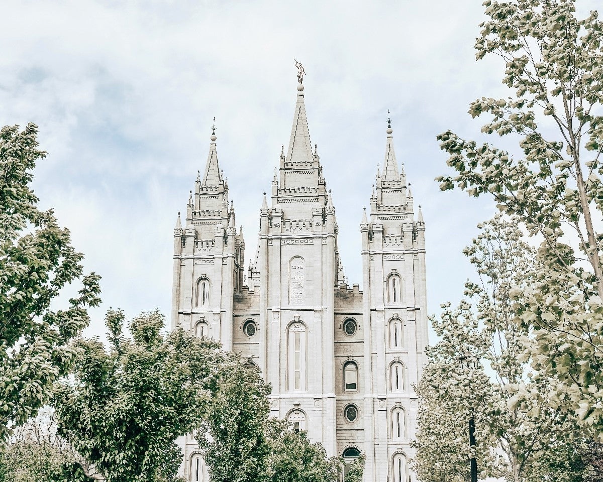 Salt Lake City Utah Immaculate Embrace
