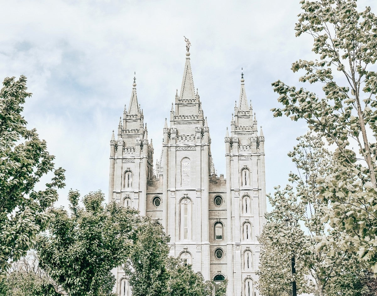 Salt Lake City Utah Immaculate Embrace
