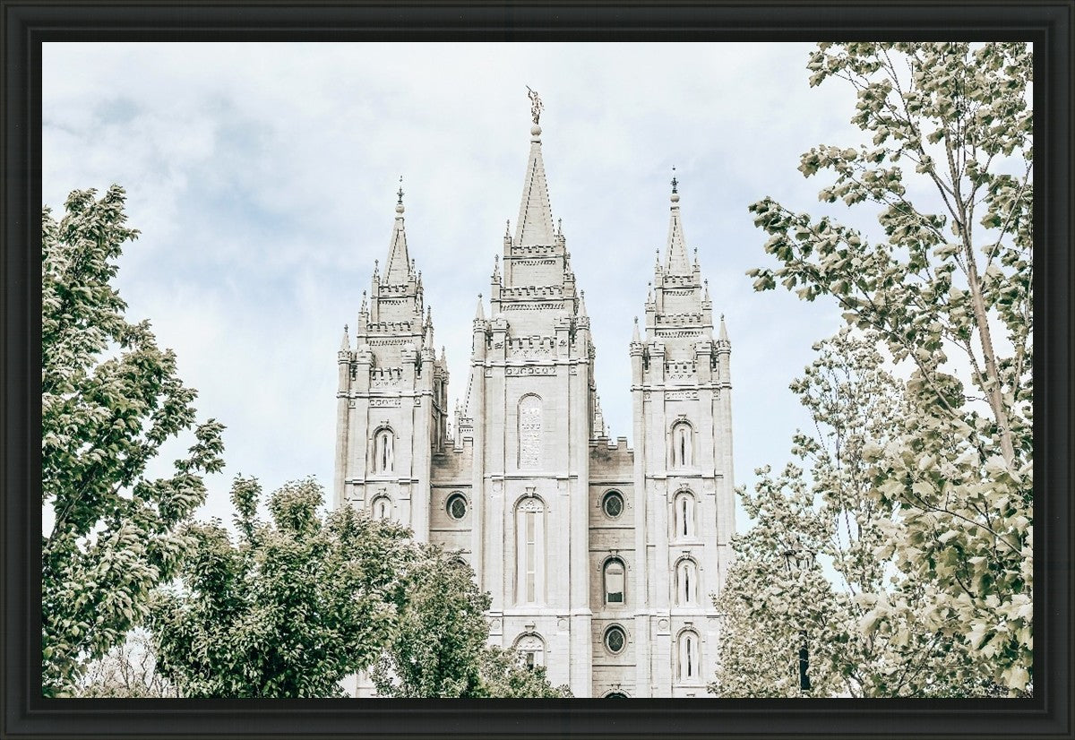 Salt Lake City Utah Immaculate Embrace