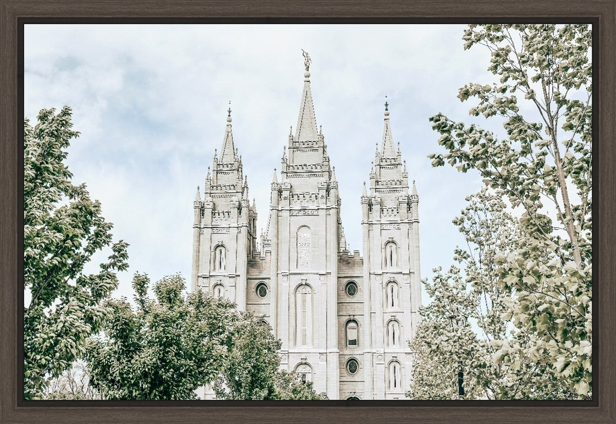 Salt Lake City Utah Immaculate Embrace