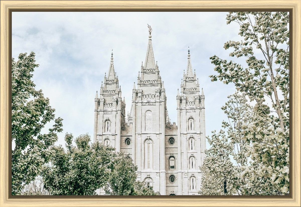 Salt Lake City Utah Immaculate Embrace